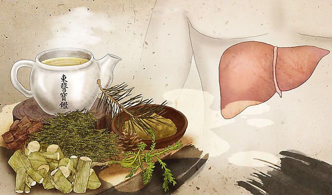 PSD 그릇 접시 일러스트 의학 사람모양 건강 한의학 약재 한약재 약초 한약 간 솔잎 건강식품 베이지색 메밀차 국내일러스트 모양 식기 음식 컬러 잎 차_음료 약 장기_의학 풀_식물 파일형식