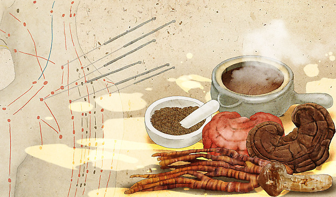 PSD 일러스트 의학 사람모양 건강 사람없음 갈색 한의학 약재 한약재 등 약초 한약 절구 송이버섯 건강식품 약탕기 침술 베이지색 상황버섯 영지버섯 혈자리 국내일러스트 모양 음식 컬러 주방용품 신체부위 약 버섯 도구 풀_식물 파일형식