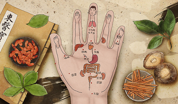 PSD 접시 손 일러스트 의학 건강 신체부위 책 버섯 한의학 약재 한약재 장기 약초 한약 건강식품 구기자 동의보감 베이지색 혈자리 국내일러스트 식기 열매 음식 컬러 신체 사람 약 풀_식물 의술서적 파일형식