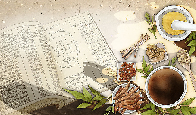 PSD 그릇 접시 일러스트 의학 건강 사람없음 책 버섯 한의학 약재 한약재 풀 약초 한약 절구 건강식품 천궁 국내일러스트 식물 식기 음식 약 도구 풀_식물 파일형식