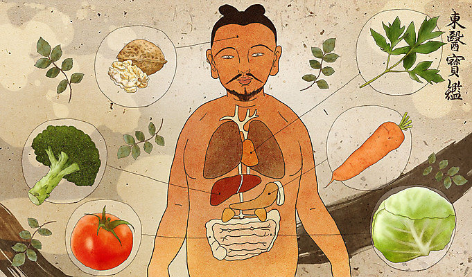 PSD 남자 채소 과일 일러스트 의학 건강 한명 당근 한의학 약재 한약재 장기 약초 한약 양배추 호두 건강식품 당귀 베이지색 국내일러스트 1 음식 컬러 신체 뿌리채소 사람 약 견과류 풀_식물 파일형식