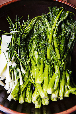 포토 JPG 주간 채소 사람없음 야외 전라남도 특산물 갓 지역 여수 돌산도 국내포토 자연요소 섬 전라도 파일형식