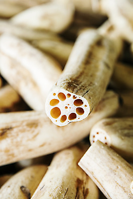 포토 JPG 주간 밭 채소 근접촬영 사람없음 야외 특산물 지역 연근 대구시 반야월 국내포토 자연요소 뷰포인트 농업 한국 대구_한국 파일형식