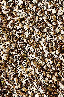 포토 JPG 주간 밭 채소 건조 사람없음 야외 특산물 지역 연근 대구시 반야월 국내포토 자연요소 농업 한국 대구_한국 파일형식