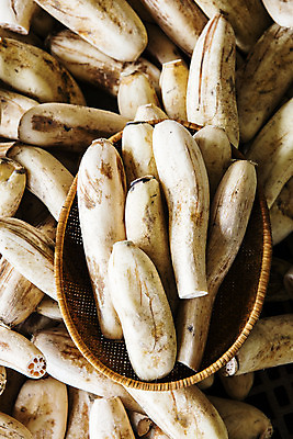 포토 JPG 주간 밭 채소 사람없음 야외 바구니 특산물 지역 연근 대구시 반야월 국내포토 자연요소 농업 한국 대구_한국 파일형식