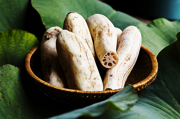 포토 JPG 주간 밭 채소 사람없음 야외 바구니 연잎 특산물 지역 연근 대구시 반야월 국내포토 자연요소 잎 농업 한국 대구_한국 파일형식