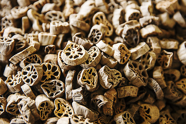 포토 JPG 주간 밭 채소 건조 사람없음 야외 특산물 지역 연근 대구시 반야월 국내포토 자연요소 농업 한국 대구_한국 파일형식