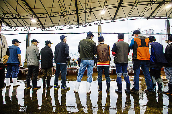 포토 JPG 주간 전신 남자 한국 풍경 여러명 야외 뒷모습 경상북도 해산물 수산시장 경매 포항 남자만 수산물위판장 국내포토 자연요소 산업 아시아 뷰포인트 다수 사람 경제 시장 경상도 파일형식