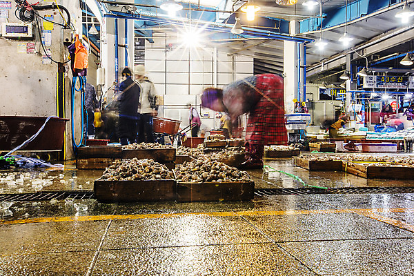 포토 JPG 주간 여자 한국 허리숙이기 어류 풍경 성인 야외 소라 경상북도 해산물 수산시장 포항 성인만 수산물위판장 국내포토 자연요소 산업 아시아 어패류 숙이기 사람 수중동물 시장 경상도 파일형식
