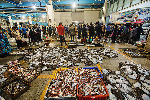 포토 JPG 주간 전신 여자 남자 한국 풍경 여러명 야외 앞모습 뒷모습 경상북도 해산물 수산시장 경매 포항 수산물위판장 국내포토 자연요소 산업 아시아 뷰포인트 다수 사람 경제 시장 경상도 파일형식