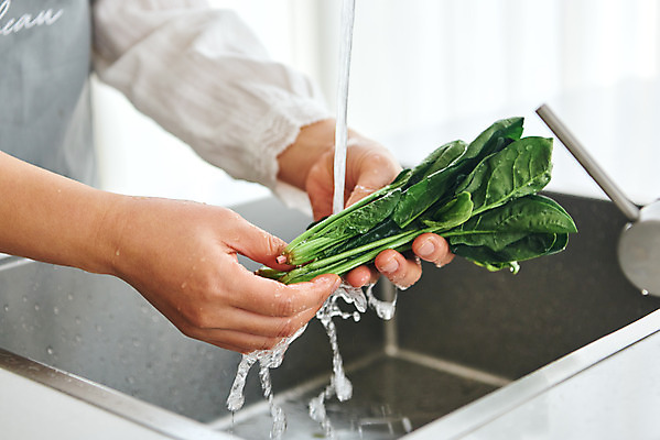 포토 JPG 손 여자 음식 40대 중년 식재료 재료 주방용품 실내 요리 한명 옆모습 신체부위 주방 앞치마 한국인 재료손질 싱크대 닦기 시금치 중년여자한명만 국내포토 1 뷰포인트 생활용품 채소 모션 사람 동양인 성인 내부 개수대 손질 여자한명만 중년여자만 파일형식