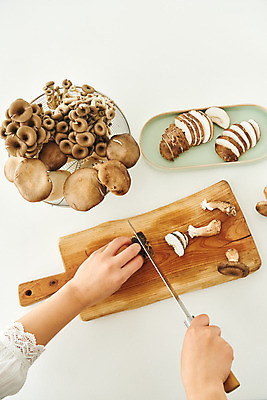 포토 JPG 손 여자 음식 40대 중년 식재료 재료 주방용품 도마 실내 요리 한명 신체부위 하이앵글 주방 앞치마 버섯 한국인 칼 표고버섯 식칼 느타리버섯 새송이버섯 중년여자한명만 플랫레이 국내포토 1 뷰포인트 생활용품 사람 동양인 성인 내부 플랫 여자한명만 중년여자만 파일형식