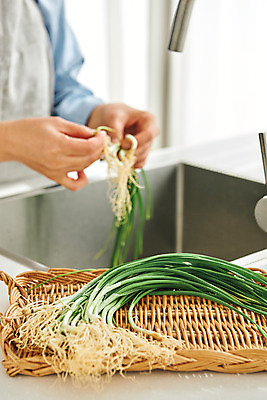 포토 JPG 손 여자 음식 40대 중년 식재료 재료 주방용품 실내 요리 한명 옆모습 아웃포커스 신체부위 주방 앞치마 한국인 재료손질 싱크대 달래 봄나물 제철 중년여자한명만 제철음식 국내포토 1 뷰포인트 생활용품 채소 촬영기법 사람 동양인 성인 내부 개수대 나물 손질 여자한명만 중년여자만 파일형식