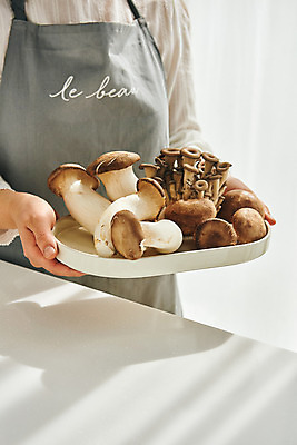 포토 JPG 접시 손 여자 40대 중년 식재료 재료 실내 요리 한명 들기 상반신 옆모습 주방 앞치마 버섯 한국인 표고버섯 느타리버섯 새송이버섯 중년여자한명만 국내포토 1 식기 뷰포인트 모션 사람 동양인 성인 내부 신체부위 여자한명만 중년여자만 파일형식