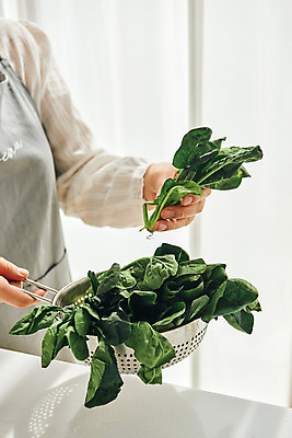 포토 JPG 손 여자 40대 중년 식재료 재료 실내 요리 한명 들기 상반신 옆모습 주방 앞치마 한국인 시금치 중년여자한명만 국내포토 1 뷰포인트 채소 모션 사람 동양인 성인 내부 신체부위 여자한명만 중년여자만 파일형식