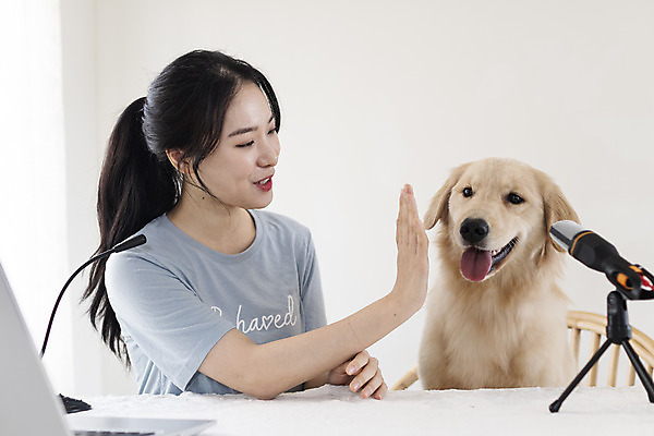 포토 JPG 한마리 여자 반려견 탁자 한명 앉기 상반신 20대 성인 앞모습 노트북 반려동물 한국인 골든리트리버 강아지 마이크 즐거움 하이파이브 반려 성인여자한명만 크리에이터 펫팸족 유튜버 국내포토 동물 직업 1 감정 뷰포인트 음향기기 가구 모션 사람 동양인 손짓 청년 전자제품 개 리트리버 신조어 여자한명만 성인여자만 파일형식 1인미디어