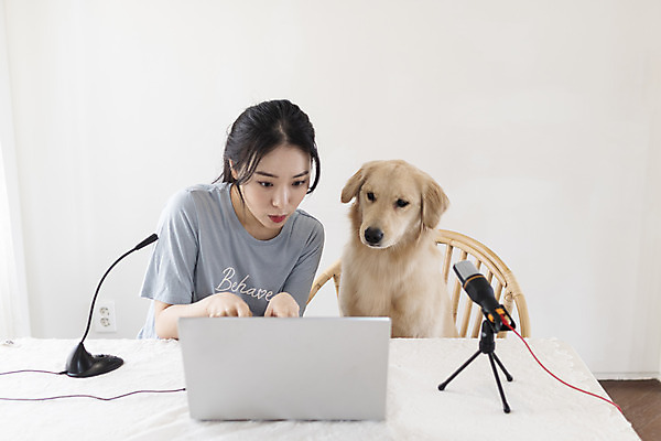 포토 JPG 한마리 응시 여자 반려견 거실 탁자 한명 앉기 상반신 20대 성인 앞모습 노트북 반려동물 한국인 타이핑 골든리트리버 강아지 마이크 즐거움 반려 성인여자한명만 크리에이터 펫팸족 유튜버 국내포토 동물 직업 1 시선 감정 뷰포인트 음향기기 가구 모션 사람 동양인 청년 전자제품 개 리트리버 신조어 여자한명만 성인여자만 파일형식 1인미디어