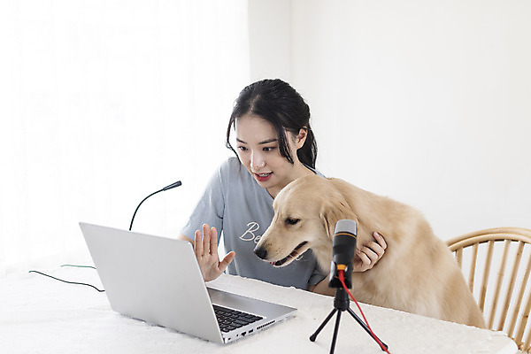 포토 JPG 한마리 응시 여자 반려견 거실 탁자 한명 앉기 상반신 20대 성인 옆모습 노트북 반려동물 한국인 골든리트리버 강아지 마이크 즐거움 손인사 반려 성인여자한명만 크리에이터 펫팸족 유튜버 국내포토 동물 직업 1 시선 감정 뷰포인트 음향기기 가구 모션 사람 동양인 청년 전자제품 인사 개 리트리버 신조어 여자한명만 성인여자만 파일형식 1인미디어