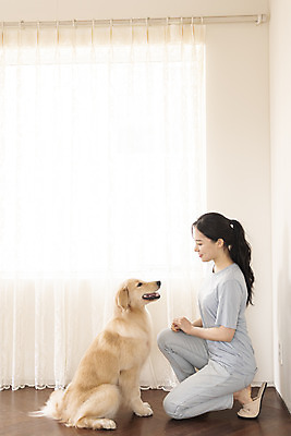 포토 JPG 전신 한마리 여자 교육 반려견 거실 한명 앉기 20대 성인 옆모습 반려동물 마주보기 한국인 커튼 골든리트리버 강아지 즐거움 교감 반려 성인여자한명만 펫팸족 애견훈련 국내포토 동물 1 감정 뷰포인트 모션 사람 동양인 청년 개 리트리버 연습 신조어 여자한명만 성인여자만 파일형식