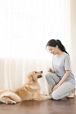 포토 JPG 전신 한마리 여자 교육 반려견 거실 한명 앉기 20대 성인 옆모습 반려동물 마주보기 한국인 커튼 골든리트리버 강아지 즐거움 교감 반려 성인여자한명만 펫팸족 애견훈련 국내포토 동물 1 감정 뷰포인트 모션 사람 동양인 청년 개 리트리버 연습 신조어 여자한명만 성인여자만 파일형식