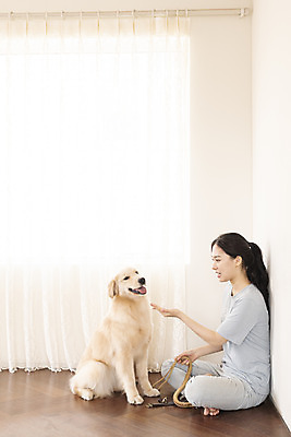 포토 JPG 전신 한마리 여자 교육 반려견 거실 한명 앉기 20대 성인 옆모습 반려동물 마주보기 한국인 커튼 골든리트리버 강아지 즐거움 목줄 교감 반려 성인여자한명만 펫팸족 애견훈련 국내포토 동물 1 감정 뷰포인트 모션 사람 동양인 청년 개 리트리버 연습 신조어 여자한명만 성인여자만 파일형식 반려용품