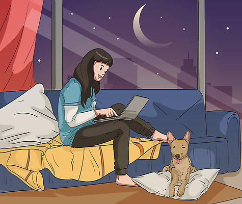 한마리 여자 반려견 쿠션 일러스트 창문 모바일 한명 들기 사람 성인 노트북 소파 보라색 웹서핑 커튼 초승달 반려 성인여자한명만 온택트 국내일러스트 AI파일 1 컬러 의자 모션 전자제품 반려동물 달 개 여자한명만 성인여자만 파일형식 벡터