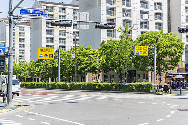 포토 JPG 주간 도로 안전 사람없음 야외 표지판 횡단보도 신호등 조심 스쿨존 어린이보호구역 국내포토 자연요소 길 교통시설 알림판 보행로 보호구역 파일형식