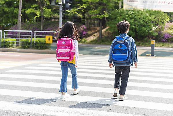 포토 JPG 주간 전신 여자 남자 초등학생 어린이 안전 야외 두명 뒷모습 걷기 한국인 횡단보도 등하교 조심 건너기 스쿨존 어린이보호구역 어린이만 국내포토 자연요소 학생 뷰포인트 모션 사람 동양인 보행로 보호구역 파일형식