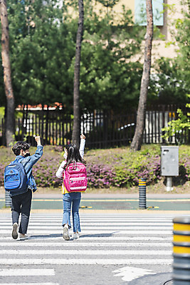 포토 JPG 주간 전신 여자 남자 초등학생 어린이 안전 야외 두명 뒷모습 손들기 걷기 한국인 횡단보도 등하교 조심 건너기 스쿨존 어린이보호구역 어린이만 국내포토 자연요소 학생 뷰포인트 모션 사람 동양인 보행로 보호구역 파일형식