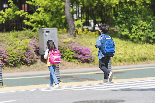 포토 JPG 주간 전신 여자 남자 초등학생 어린이 안전 야외 두명 뒷모습 걷기 한국인 횡단보도 등하교 조심 건너기 스쿨존 어린이보호구역 어린이만 국내포토 자연요소 학생 뷰포인트 모션 사람 동양인 보행로 보호구역 파일형식
