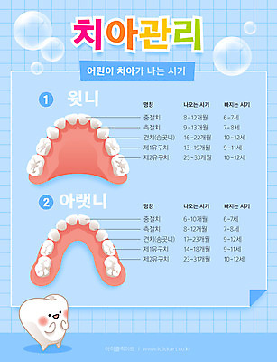 일러스트 치과 사람없음 파란색 인포그래픽 치아 치아모형 치아건강 유치 국내일러스트 AI파일 컬러 건강 병원 소화기관 파일형식 벡터