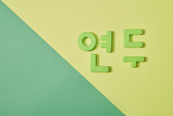 포토 JPG 스튜디오촬영 모양 문자 교육 프레임 실내 한글 사람없음 연두색 단어 하이앵글 블록 한글교육 언어교육 플랫레이 초록배경 국내포토 뷰포인트 백그라운드 내부 초록색 플랫 파일형식