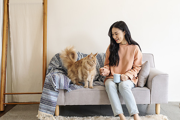 포토 JPG 전신 한마리 여자 실내 한명 앉기 20대 앞모습 반려동물 소파 고양이 화목 한국인 커피잔 즐거움 소통 교감 반려 성인여자한명만 반려묘 펫팸족 메인쿤 국내포토 동물 1 감정 커피 뷰포인트 컨셉 의자 포유류 모션 잔 사람 동양인 청년 내부 신조어 여자한명만 성인여자만 파일형식