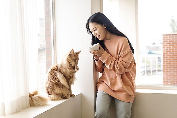 포토 JPG 한마리 그릇 응시 여자 실내 한명 서기 상반신 20대 앞모습 반려동물 고양이 화목 한국인 창가 즐거움 소통 반려 성인여자한명만 반려묘 펫팸족 메인쿤 국내포토 동물 1 식기 시선 감정 뷰포인트 컨셉 창문 포유류 모션 사람 동양인 청년 내부 신조어 여자한명만 성인여자만 파일형식