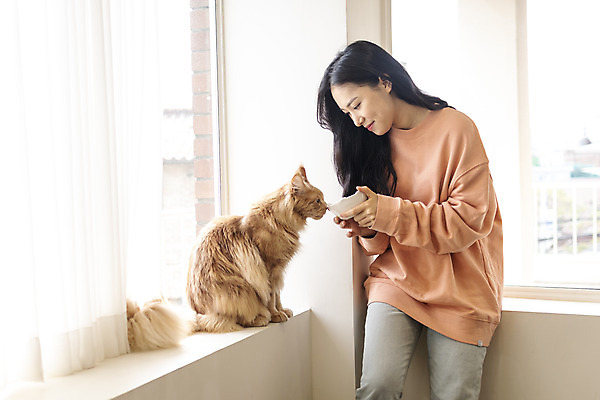 포토 JPG 한마리 그릇 응시 여자 실내 한명 서기 상반신 20대 앞모습 반려동물 고양이 화목 한국인 창가 즐거움 소통 반려 성인여자한명만 반려묘 펫팸족 메인쿤 국내포토 동물 1 식기 시선 감정 뷰포인트 컨셉 창문 포유류 모션 사람 동양인 청년 내부 신조어 여자한명만 성인여자만 파일형식