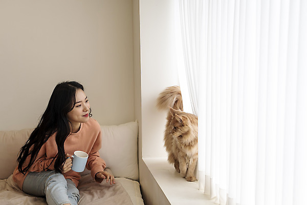 포토 JPG 한마리 응시 여자 실내 한명 앉기 상반신 20대 앞모습 반려동물 고양이 화목 한국인 침대 창가 즐거움 소통 반려 성인여자한명만 반려묘 펫팸족 메인쿤 국내포토 동물 1 시선 감정 뷰포인트 가구 컨셉 창문 포유류 모션 사람 동양인 청년 내부 신조어 여자한명만 성인여자만 파일형식