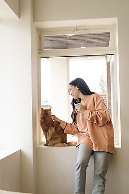 포토 JPG 한마리 응시 여자 실내 한명 상반신 20대 앞모습 반려동물 마주보기 고양이 화목 한국인 커피잔 창가 즐거움 걸터앉기 소통 반려 성인여자한명만 쓰다듬기 반려묘 펫팸족 메인쿤 국내포토 동물 1 시선 감정 커피 뷰포인트 컨셉 창문 포유류 모션 잔 사람 앉기 동양인 청년 내부 신조어 여자한명만 성인여자만 파일형식