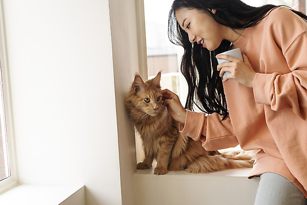 포토 JPG 한마리 여자 실내 한명 상반신 20대 앞모습 반려동물 고양이 화목 한국인 커피잔 창가 즐거움 걸터앉기 소통 반려 성인여자한명만 쓰다듬기 반려묘 펫팸족 메인쿤 국내포토 동물 1 감정 커피 뷰포인트 컨셉 창문 포유류 모션 잔 사람 앉기 동양인 청년 내부 신조어 여자한명만 성인여자만 파일형식