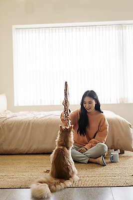 포토 JPG 전신 한마리 여자 놀이 실내 한명 앉기 20대 앞모습 반려동물 장난감 고양이 화목 한국인 침대 커피잔 즐거움 소통 교감 반려 성인여자한명만 반려묘 펫팸족 고양이낚시대 메인쿤 국내포토 동물 1 감정 커피 뷰포인트 가구 컨셉 포유류 모션 잔 사람 동양인 청년 내부 신조어 여자한명만 성인여자만 파일형식 애묘용품