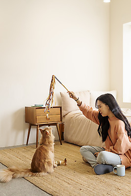 포토 JPG 전신 한마리 여자 놀이 실내 한명 앉기 20대 옆모습 반려동물 장난감 고양이 화목 한국인 침대 커피잔 즐거움 소통 교감 반려 성인여자한명만 반려묘 펫팸족 고양이낚시대 메인쿤 국내포토 동물 1 감정 커피 뷰포인트 가구 컨셉 포유류 모션 잔 사람 동양인 청년 내부 신조어 여자한명만 성인여자만 파일형식 애묘용품