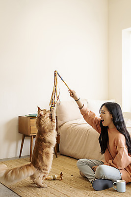 포토 JPG 전신 한마리 여자 놀이 실내 한명 앉기 20대 옆모습 반려동물 장난감 고양이 화목 한국인 침대 커피잔 즐거움 소통 교감 반려 성인여자한명만 반려묘 펫팸족 고양이낚시대 메인쿤 국내포토 동물 1 감정 커피 뷰포인트 가구 컨셉 포유류 모션 잔 사람 동양인 청년 내부 신조어 여자한명만 성인여자만 파일형식 애묘용품