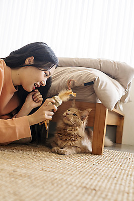 포토 JPG 한마리 여자 놀이 실내 한명 상반신 20대 옆모습 반려동물 장난감 고양이 화목 한국인 침대 즐거움 소통 교감 반려 성인여자한명만 반려묘 펫팸족 메인쿤 국내포토 동물 1 감정 뷰포인트 가구 컨셉 포유류 사람 동양인 청년 내부 신조어 여자한명만 성인여자만 파일형식