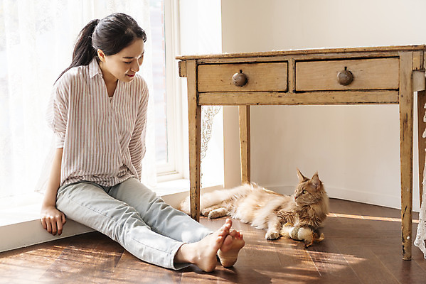 포토 JPG 전신 한마리 여자 탁자 실내 한명 앉기 20대 앞모습 반려동물 고양이 화목 한국인 창가 즐거움 소통 교감 반려 성인여자한명만 반려묘 펫팸족 메인쿤 국내포토 동물 1 감정 뷰포인트 가구 컨셉 창문 포유류 모션 사람 동양인 청년 내부 신조어 여자한명만 성인여자만 파일형식