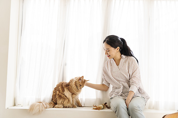 포토 JPG 한마리 여자 실내 한명 상반신 20대 앞모습 반려동물 장난감 고양이 화목 한국인 창가 즐거움 걸터앉기 소통 교감 반려 성인여자한명만 쓰다듬기 반려묘 펫팸족 메인쿤 국내포토 동물 1 감정 뷰포인트 컨셉 창문 포유류 모션 사람 앉기 동양인 청년 내부 신조어 여자한명만 성인여자만 파일형식