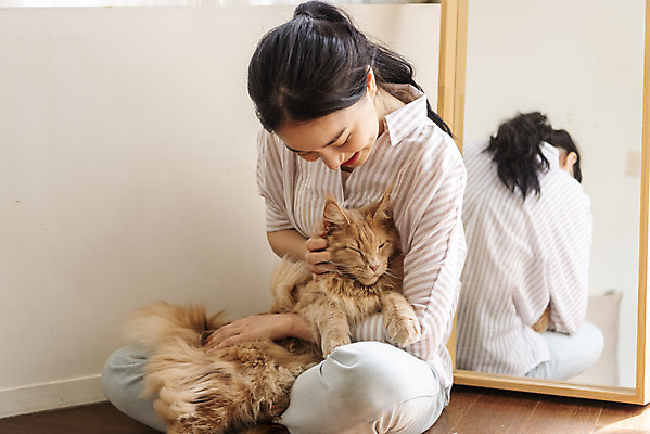 포토 JPG 전신 한마리 여자 안기 실내 한명 앉기 20대 앞모습 반려동물 고양이 화목 한국인 즐거움 소통 교감 반려 성인여자한명만 쓰다듬기 반려묘 펫팸족 메인쿤 국내포토 동물 1 감정 뷰포인트 컨셉 포유류 모션 사람 동양인 청년 내부 신조어 여자한명만 성인여자만 파일형식