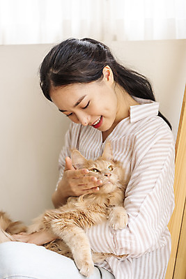 포토 JPG 한마리 여자 안기 실내 한명 앉기 상반신 20대 옆모습 반려동물 고양이 화목 한국인 즐거움 소통 교감 반려 성인여자한명만 쓰다듬기 반려묘 펫팸족 메인쿤 국내포토 동물 1 감정 뷰포인트 컨셉 포유류 모션 사람 동양인 청년 내부 신조어 여자한명만 성인여자만 파일형식