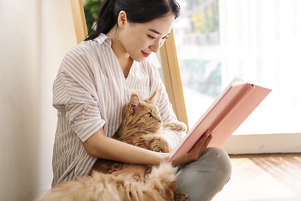 포토 JPG 한마리 여자 안기 실내 한명 앉기 상반신 20대 옆모습 책 반려동물 독서 고양이 화목 한국인 즐거움 소통 반려 성인여자한명만 반려묘 펫팸족 메인쿤 국내포토 동물 1 감정 뷰포인트 컨셉 포유류 모션 사람 동양인 청년 내부 신조어 여자한명만 성인여자만 파일형식