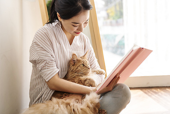 포토 JPG 한마리 여자 안기 실내 한명 앉기 상반신 20대 옆모습 책 반려동물 독서 고양이 화목 한국인 즐거움 소통 반려 성인여자한명만 반려묘 펫팸족 메인쿤 국내포토 동물 1 감정 뷰포인트 컨셉 포유류 모션 사람 동양인 청년 내부 신조어 여자한명만 성인여자만 파일형식
