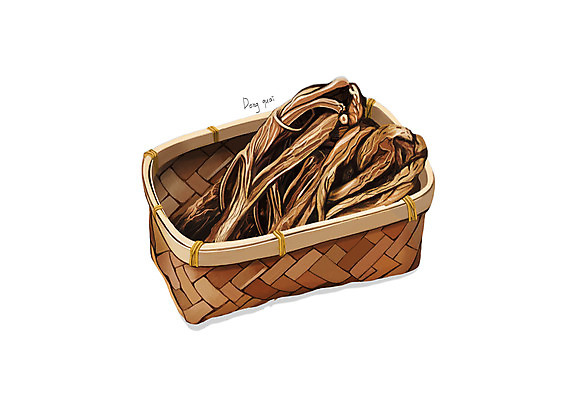 PSD 일러스트 사람없음 바구니 한의학 한약재 흰색 당귀 디테일 국내일러스트 컬러 의학 약재 파일형식