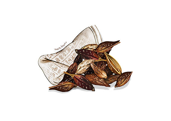 PSD 일러스트 사람없음 한의학 한약재 흰색 한지 디테일 연교 국내일러스트 종이 컬러 의학 약재 파일형식